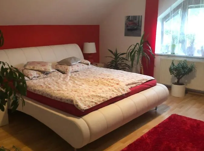 Homestay U Misi Suchdol nad Luznici