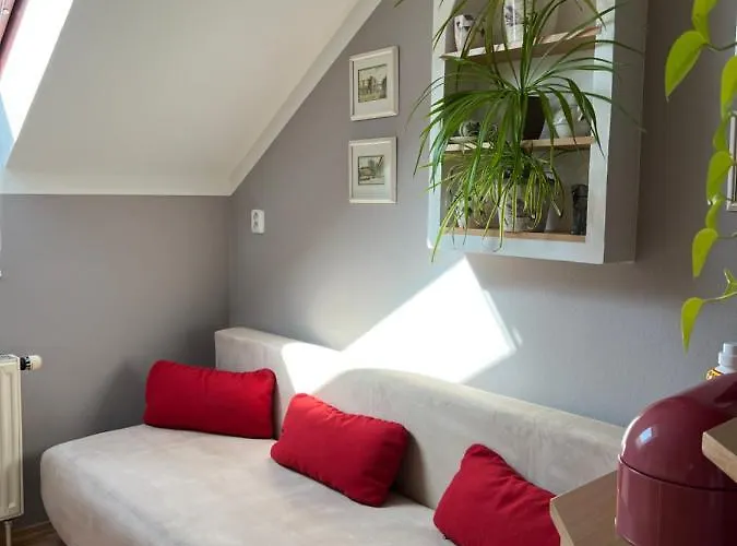 U Misi Homestay Suchdol nad Luznici